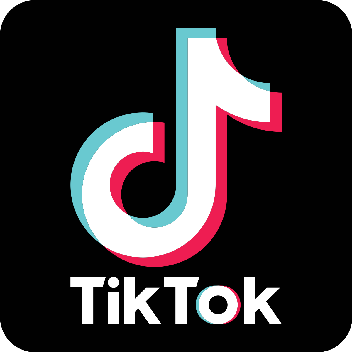 tiktokPNG1